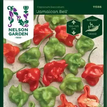 Chilipeppar Jamaican Bell