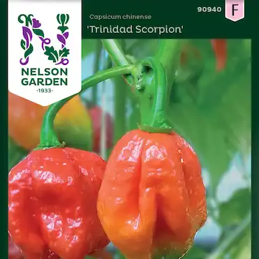 Chilipeppar Trinidad Scorpion