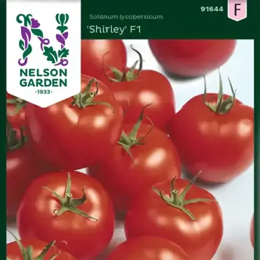 Tomat Shirley F1