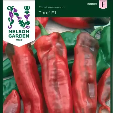 Paprika Thor F1