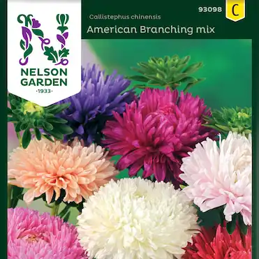 Sommaraster American Branching Mix
