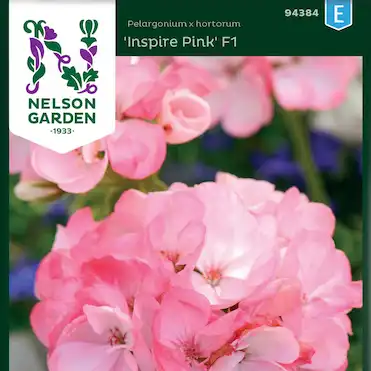 Pelargon Inspire Pink F1