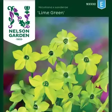 Blomstertobak Lime Green